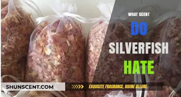 Repel Silverfish Naturally: Discover Scents They Hate and Avoid