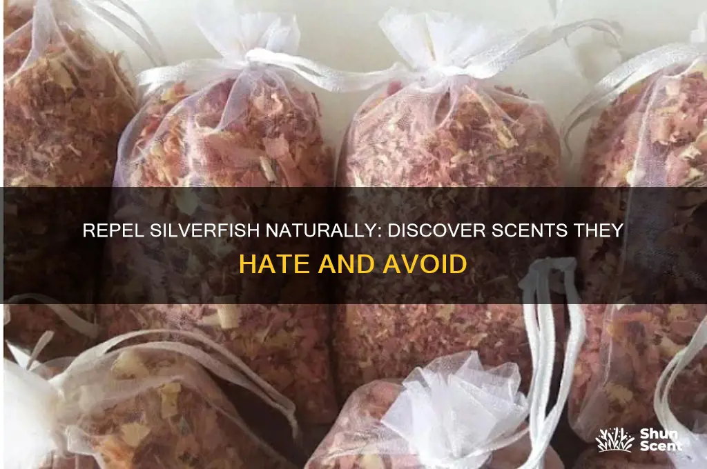 what scent do silverfish hate