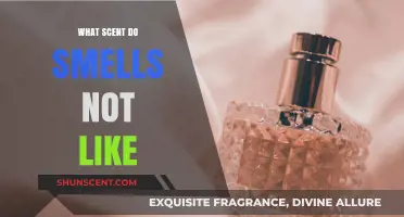 Unveiling the Aroma Enigma: Scents That Clash with Natural Smells