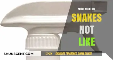 Snakes Hate These Scents: Repel Them Naturally with Essential Oils