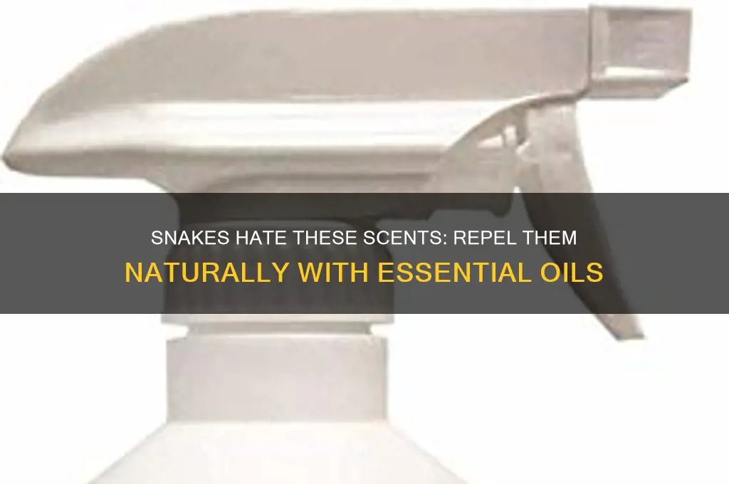 what scent do snakes not like