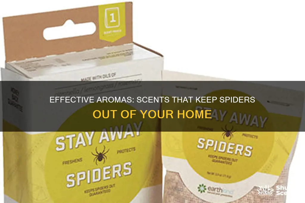 what scent do spiders hate in the house