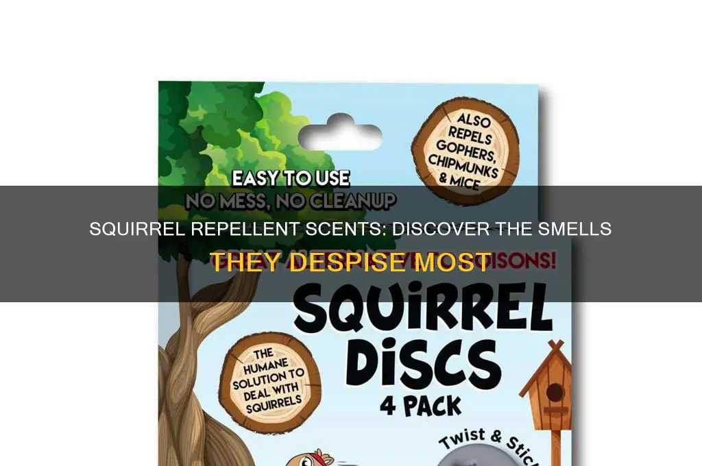 what scent do squirrels hate the most