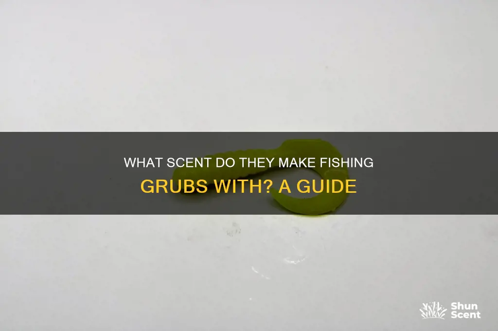 what scent do they make fishing grubs