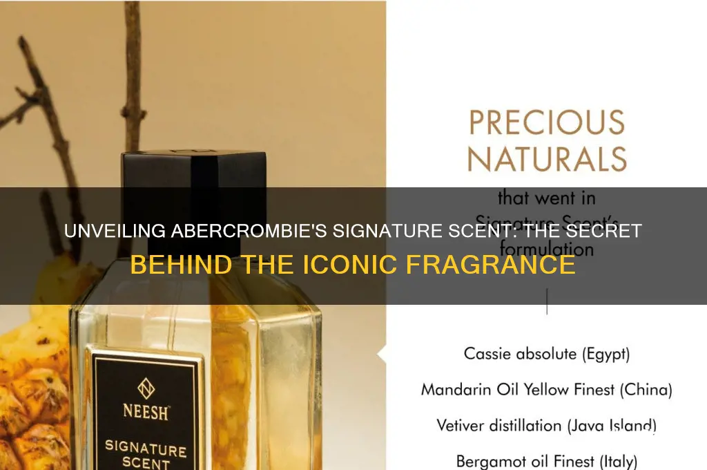 what scent do they spray in abercrombie