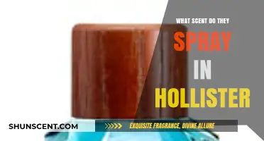 Unveiling Hollister's Signature Scent: The Secret Behind Their Iconic Fragrance