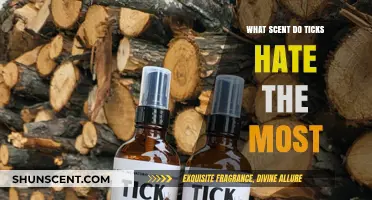 Top Tick-Repelling Scents: Natural Aromas to Keep Ticks Away