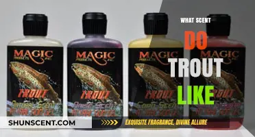 Attracting Trout: Discovering the Scents That Lure Them In Effectively