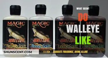 Attracting Walleye: Discover the Best Scents for Successful Fishing