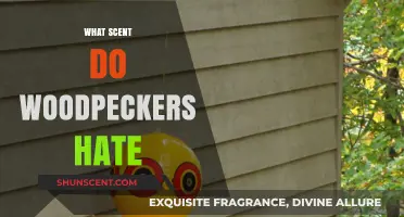 Repel Woodpeckers Naturally: Discover the Scents They Avoid Most