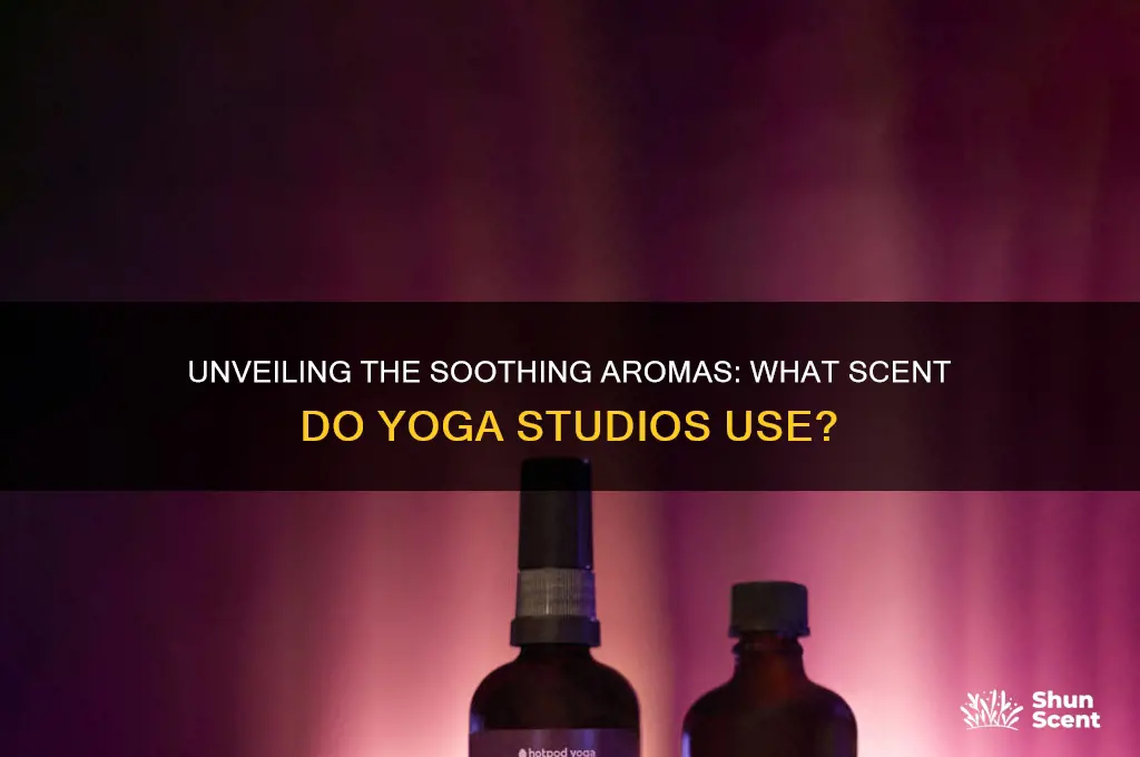what scent do yoga studios use