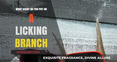 Enhance Your Pet's Enrichment: Choosing the Perfect Scent for Licking Branches