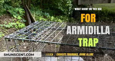 Effective Scents to Lure Armadillos: Top Baits for Successful Trapping