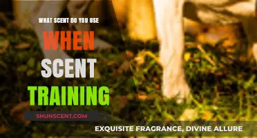 Choosing the Right Scent for Effective Scent Training Success