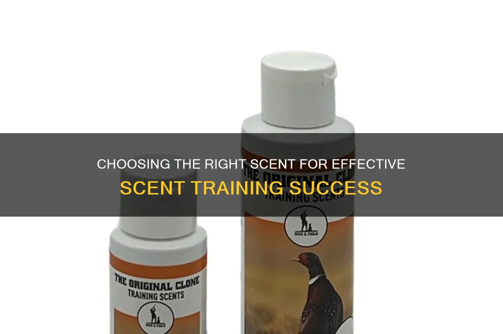 what scent do you use when scent training