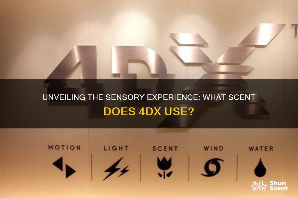 what scent does 4dx use