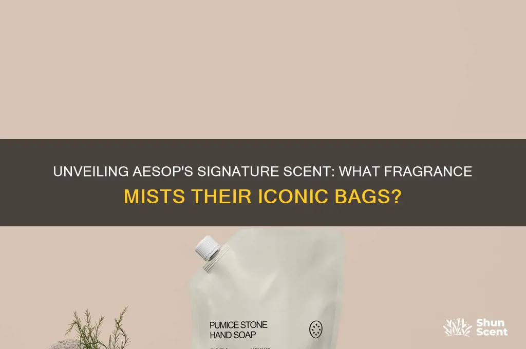 what scent does aesop spray on their bags