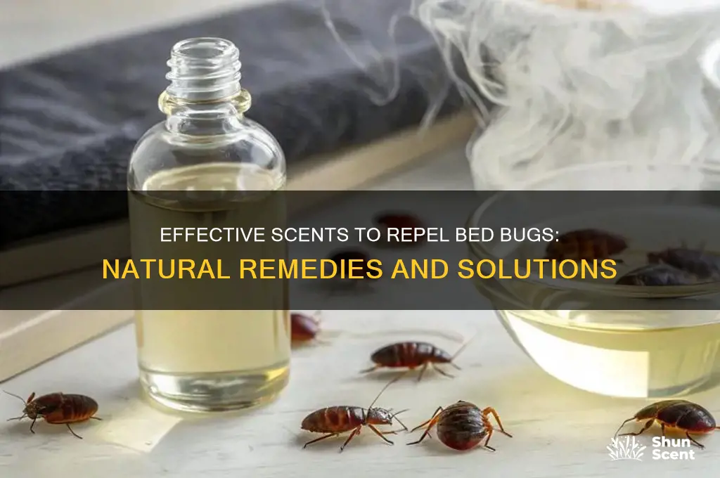 what scent does bed bugs hate