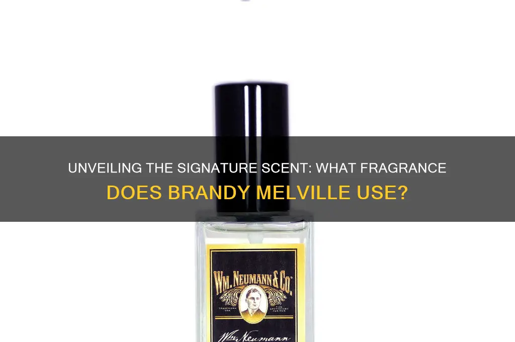 what scent does brandy melville use