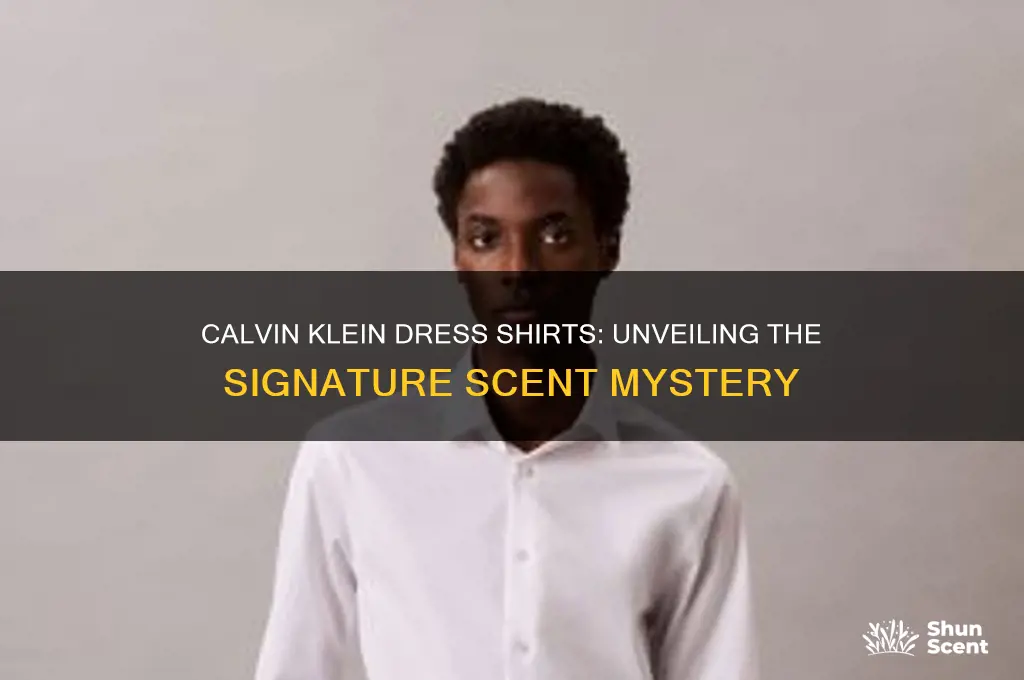 what scent does calvin klein use on their dress shirts