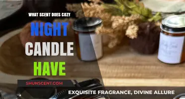 Unveiling the Warm, Comforting Scent of Cozy Night Candles