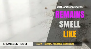 Exploring the Unique Scent of Cremated Remains: A Detailed Analysis