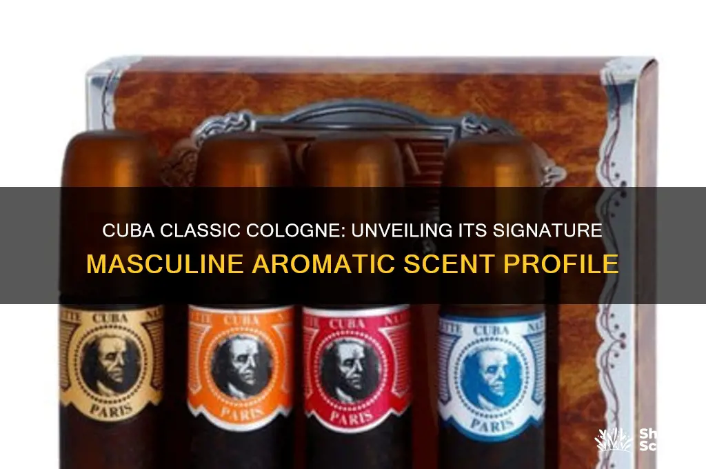 what scent does cuba classic smell like