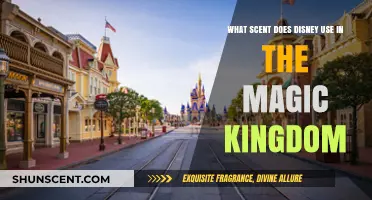 Unveiling Disney's Magic Kingdom: The Secret Scent Behind the Enchantment