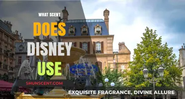 Unveiling Disney's Magical Scents: The Secret Aromas of the Parks
