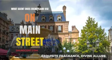 Unveiling Disneyland's Main Street Magic: The Secret Scent Behind the Nostalgia