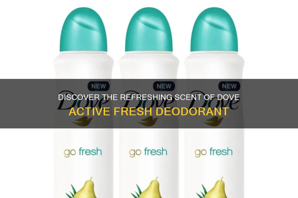 what scent does dove active fresh deodorant smell like