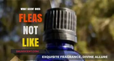 Natural Flea Repellents: Scents Fleas Hate to Keep Pets Pest-Free