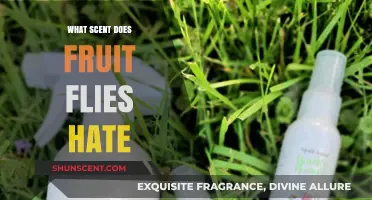 Banish Fruit Flies: Discover the Scents They Despise Most