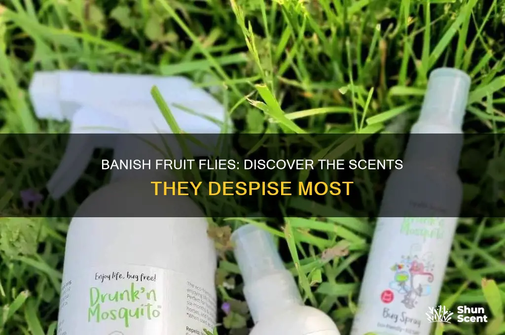 what scent does fruit flies hate