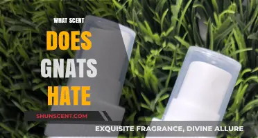 Repel Gnats Naturally: Discover Scents They Hate and Stay Pest-Free