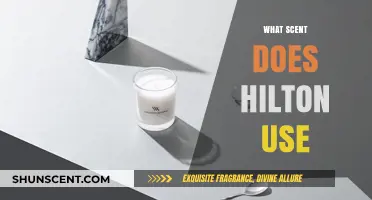 Unveiling the Signature Scent: What Fragrance Does Hilton Use?