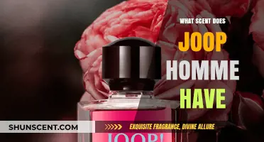 Exploring Joop Homme's Signature Scent: A Sensual Aromatic Journey