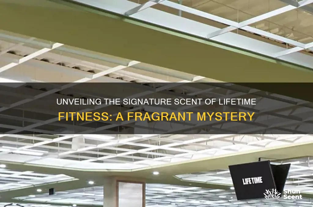 what scent does lifetime fitness use