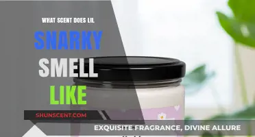 Unveiling Lil Snarky's Signature Scent: A Fragrant Mystery Explored