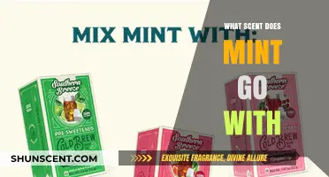 Mint's Perfect Pairings: Discover Scents That Complement Its Fresh Aroma