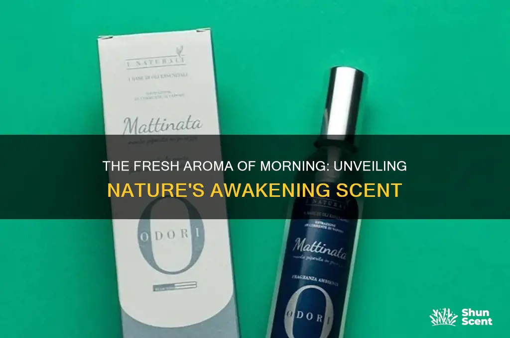 what scent does morning has