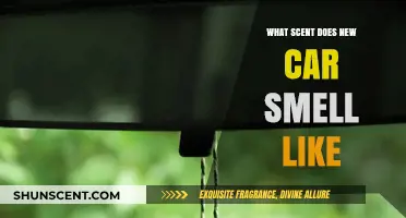 Unveiling the Fresh Aroma: What Does New Car Smell Like?