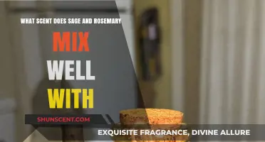 Sage and Rosemary Blends: Discover Perfect Aromatic Pairings for Your Home