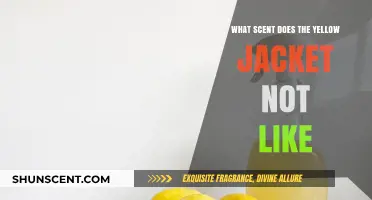Repel Yellow Jackets Naturally: Scents They Hate and How to Use Them