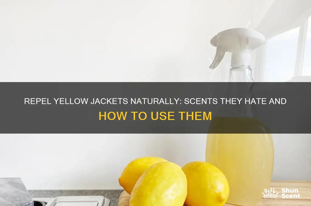 what scent does the yellow jacket not like