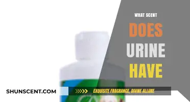 Unveiling the Unique Aroma: What Scent Does Urine Actually Have?