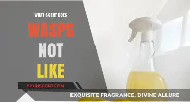 Repel Wasps Naturally: Scents They Hate and How to Use Them