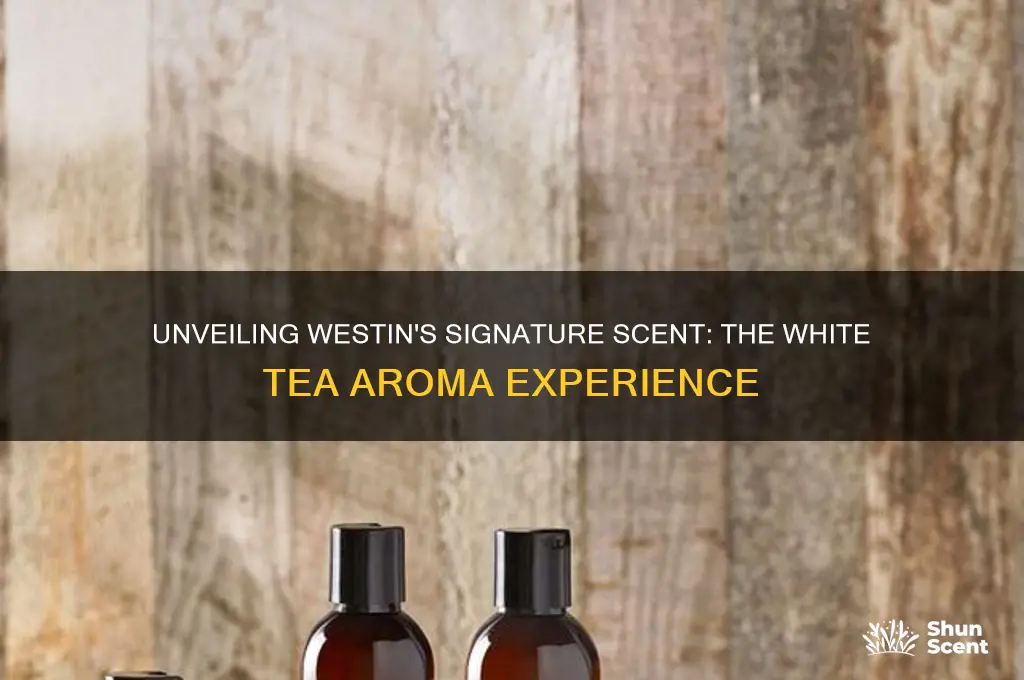 what scent does westin use