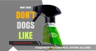 Unpleasant Aromas: Scents Dogs Despise and How to Use Them Safely