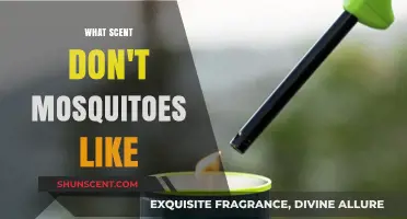 Natural Mosquito Repellents: Scents That Keep Pesky Bugs at Bay